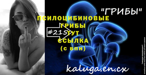 первитин Верхний Тагил