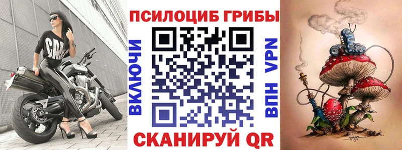 Псилоцибиновые грибы мухоморы  Купить где  Вологда 